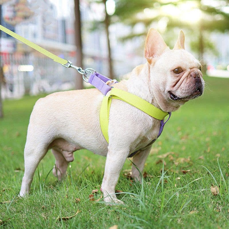 image-Color Pet Drawstring Leash Vest-style Dog Leash
