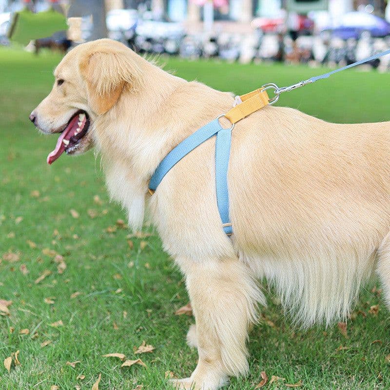 image-Color Pet Drawstring Leash Vest-style Dog Leash