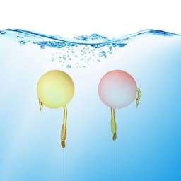image-European Style Carp Silo Fishing Floating Foam Bait