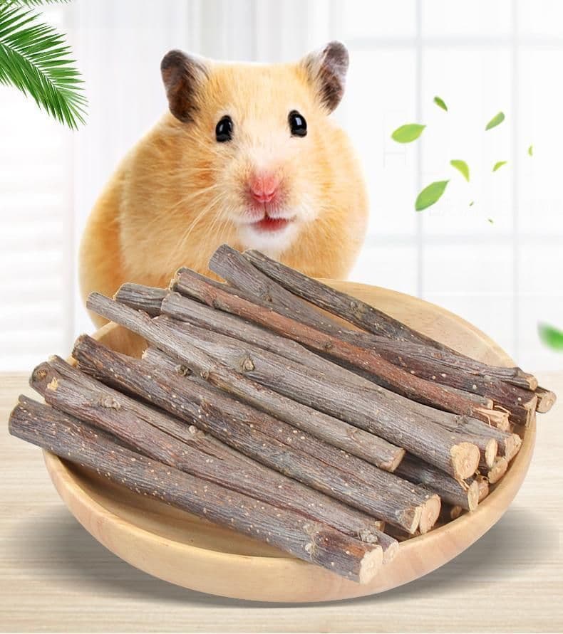 image-Drying Bunny My Neighbor Totoro Hamster Snacks Branch Chewing Toy