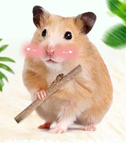 image-Drying Bunny My Neighbor Totoro Hamster Snacks Branch Chewing Toy