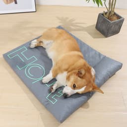 image-Removable And Washable Kennel Four Seasons Universal Cat Mat