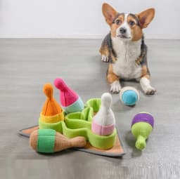 image-Pet Puzzle Play Tibetan Food Sports Training Bowling Toys