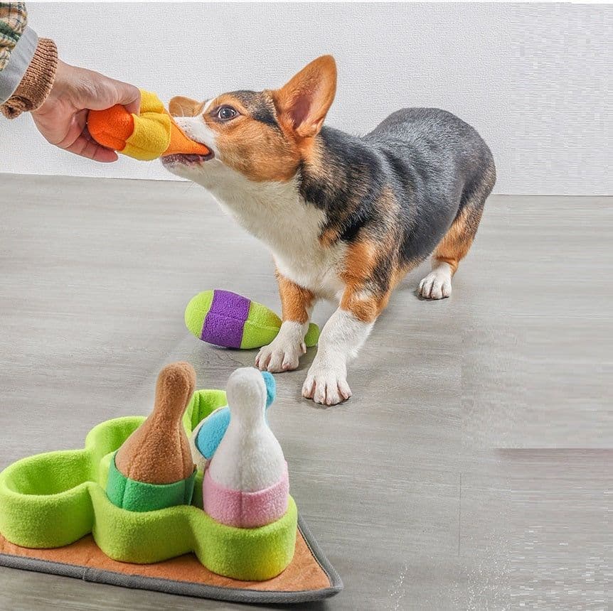 image-Pet Puzzle Play Tibetan Food Sports Training Bowling Toys