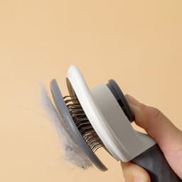 image-One-click Hair Removal Pet Needle Comb Pet Supplies