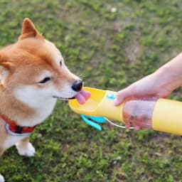 image-Pets Go Out Portable Feeding And Water Feeding Cup