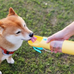 image-Pets Go Out Portable Feeding And Water Feeding Cup