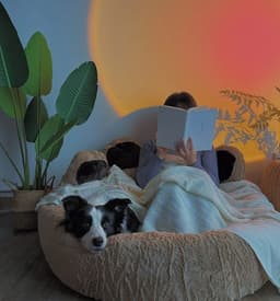 image-Winter Warm Pet Supplies Four Seasons Universal Pet Mat