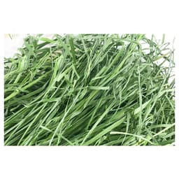 image-Dried Timothy FCL Hay Snacks Feed Chinchilla Guinea Pig Food Rabbits Pet Products