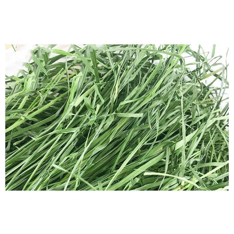 image-Dried Timothy FCL Hay Snacks Feed Chinchilla Guinea Pig Food Rabbits Pet Products