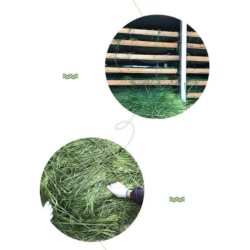 image-Dried Timothy FCL Hay Snacks Feed Chinchilla Guinea Pig Food Rabbits Pet Products