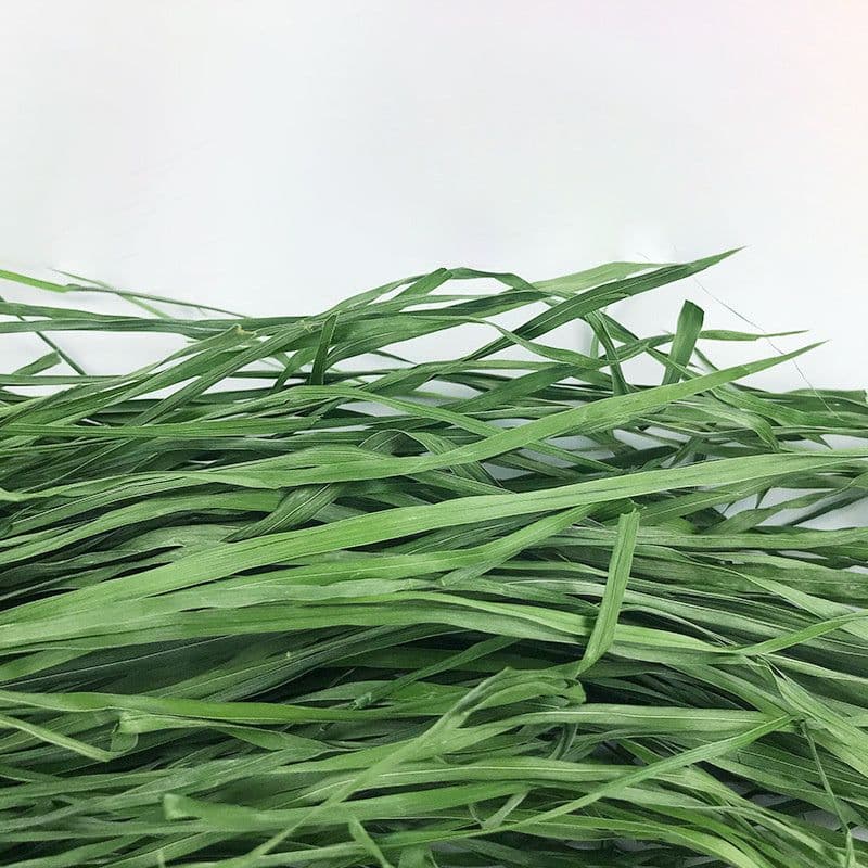 image-Dried Timothy FCL Hay Snacks Feed Chinchilla Guinea Pig Food Rabbits Pet Products