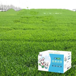 image-Dried Timothy FCL Hay Snacks Feed Chinchilla Guinea Pig Food Rabbits Pet Products