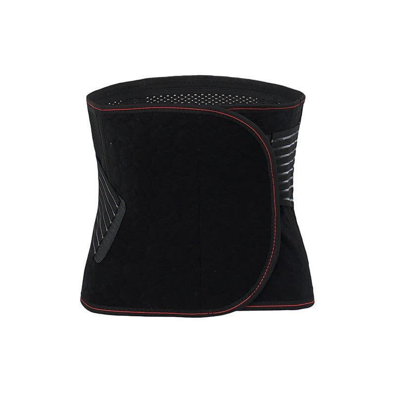 image-Back Support Weight Loss Brace Belt Lumbar Lower Waist Double Adjust Back Pain Relief Waist Support Sport Springs Belt