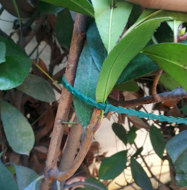 image-13CM Multi Purpose Fishbone Garden Tie Green Garden Tie Gardening Tie Various Quantity Packaging