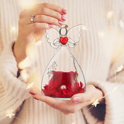 image-Amazon Hot Angel Preserved Flower Glass Cover Creative Decoration Christmas Gift Valentine's Day Rose