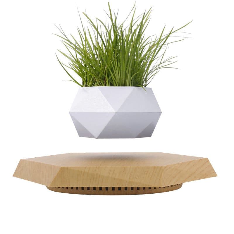 image-Smart Products Domestic Magnetic Suspension Invention Patent Manufacturer Creative Fashionable Ornaments Agent Maglev Pot Plant