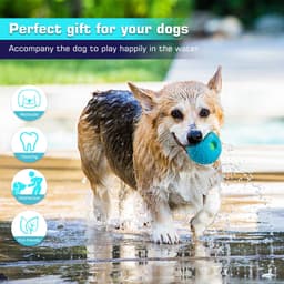 image-Pet Squall Ball Dog Playmate Sound Relieving Toys