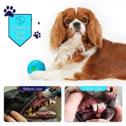 image-Pet Squall Ball Dog Playmate Sound Relieving Toys