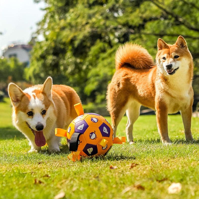 image-Pet Interactive Football Dog Outdoor Toy Molar Long Lasting