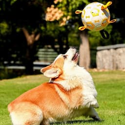 image-Pet Interactive Football Dog Outdoor Toy Molar Long Lasting