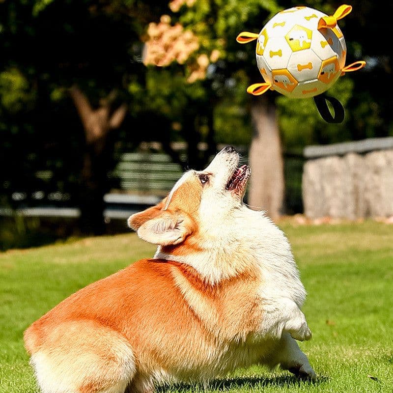 image-Pet Interactive Football Dog Outdoor Toy Molar Long Lasting