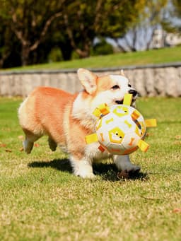 image-Pet Interactive Football Dog Outdoor Toy Molar Long Lasting