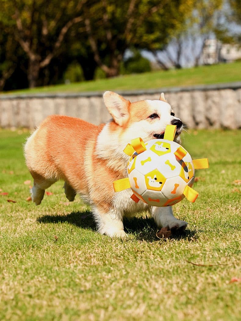 image-Pet Interactive Football Dog Outdoor Toy Molar Long Lasting