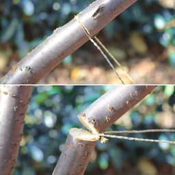 image-Manual Cutting Chain Saw With Handle Wire Rope Practical