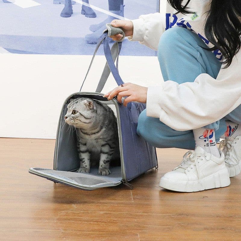 image-Outdoor Portable Folding Oxford Cloth Breathable Mesh Cat Bag