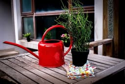 image-Watering Iron Sheet Watering Pot Gardening Garden Greening Vegetable Garden Large Capacity Kettle