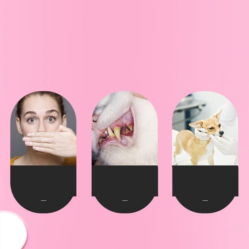 image-Pet Cleaning Care Dog Cat Toothbrush