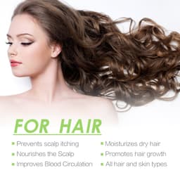 image-Rosemary Hair Care Essential Oil Anti-frizz Long-lasting Soft