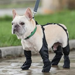 image-Waterproof Dog Shoes Adjustable Dog Boots Pet Breathbale Shoes For Outdoor Walking Soft French Dog Shoes Pets Paws Protector Pet Products