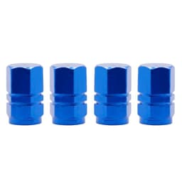 image-Car Tire Valve Metal Mouth Cap Electric Car Motorcycle Air Nozzle