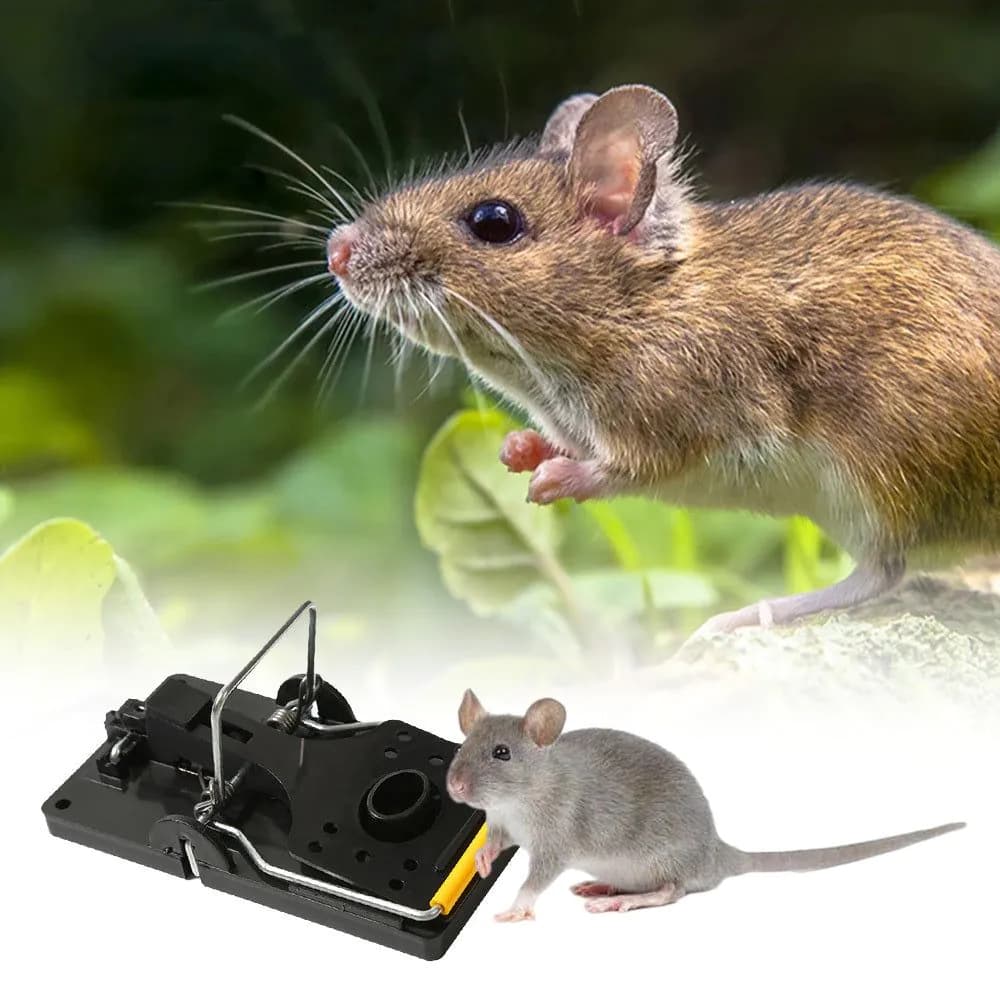 image-Rat Capture Rat Traps Durable Mouse Traps For Household Home&Living Pest Control Bait Snap