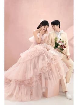 image-Street Photography Pettiskirt Colored Mesh Temperament Banquet Light Wedding Dress
