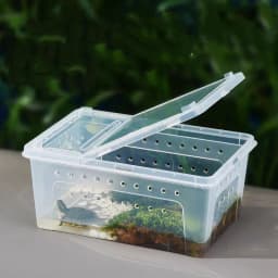 image-Silkworm Feeding Pet Box Turtle Jar
