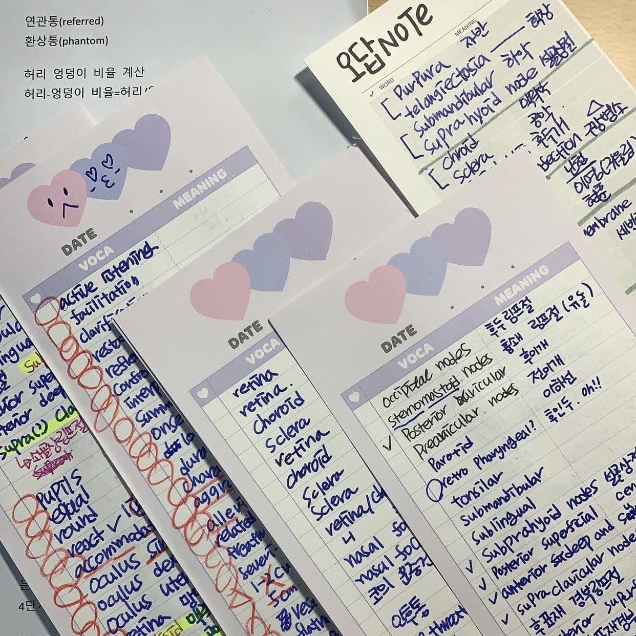 image-Notepad Cute Vertical Double-sided Printing Learning Paper English Words Note Paper