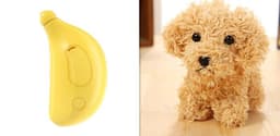 image-3 In 1 Pet Steam Brush Cat Dog Cleaning Steamy Spray Massage Beauty Comb Hair Removal Grooming Supplies Pets Accessories