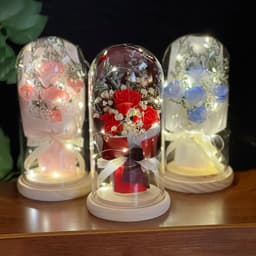 image-Artificial Rose Dried Flowers Gypsophila Babysbreath Bouquet Glass Cover Ornaments LED Small Night Lamp Valentine's Day Gift