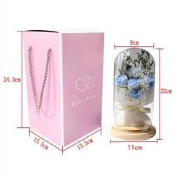 image-Artificial Rose Dried Flowers Gypsophila Babysbreath Bouquet Glass Cover Ornaments LED Small Night Lamp Valentine's Day Gift