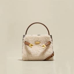 image-Lamb Wool Bag Autumn And Winter Fashion All-matching Women's Leather Plush Bag