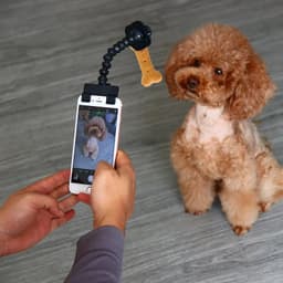 image-Pet Photography Tool Cat Dog And Dog Viewing Lens Teddy Camera Toy Mobile Phone Camera Holder Selfie Clip Supplies Pet Products