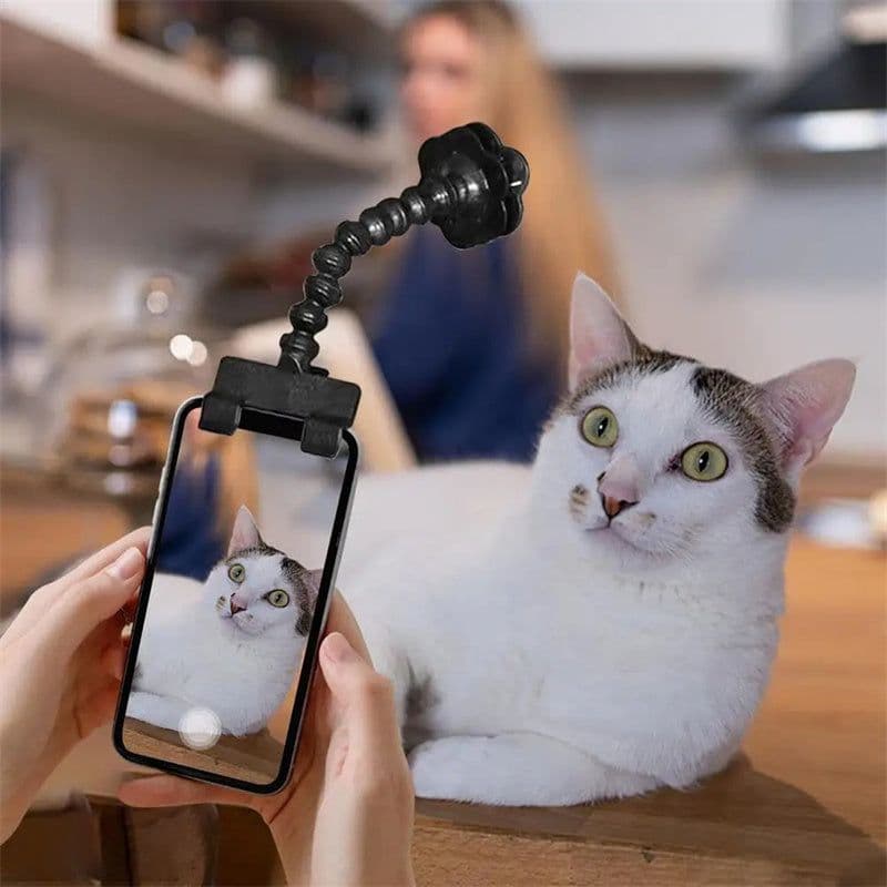 image-Pet Photography Tool Cat Dog And Dog Viewing Lens Teddy Camera Toy Mobile Phone Camera Holder Selfie Clip Supplies Pet Products