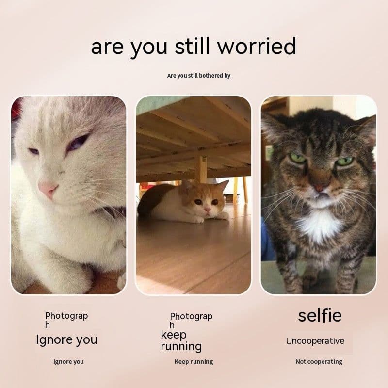 image-Pet Photography Tool Cat Dog And Dog Viewing Lens Teddy Camera Toy Mobile Phone Camera Holder Selfie Clip Supplies Pet Products