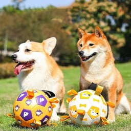 image-Dog Interactive Football Toys Children Soccer Dog Outdoor Training Balls Pet Sporty Bite Chew Teething Ball With Cute Printing