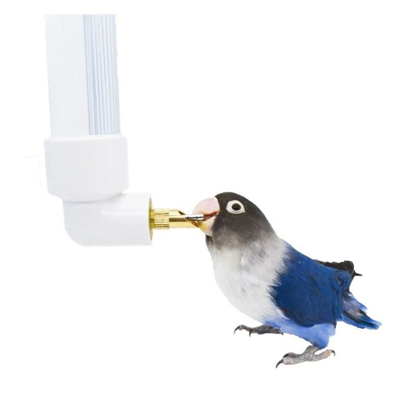 image-Parrot Water Fountain Firing Pin Drinking Bottle Large Automatic Water Feeder Pet Totoro Hanging Rabbit Water Cup