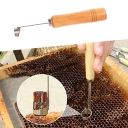 image-Artificial Insect Removal Cutting Honeycomb Knife Beekeeping Tools
