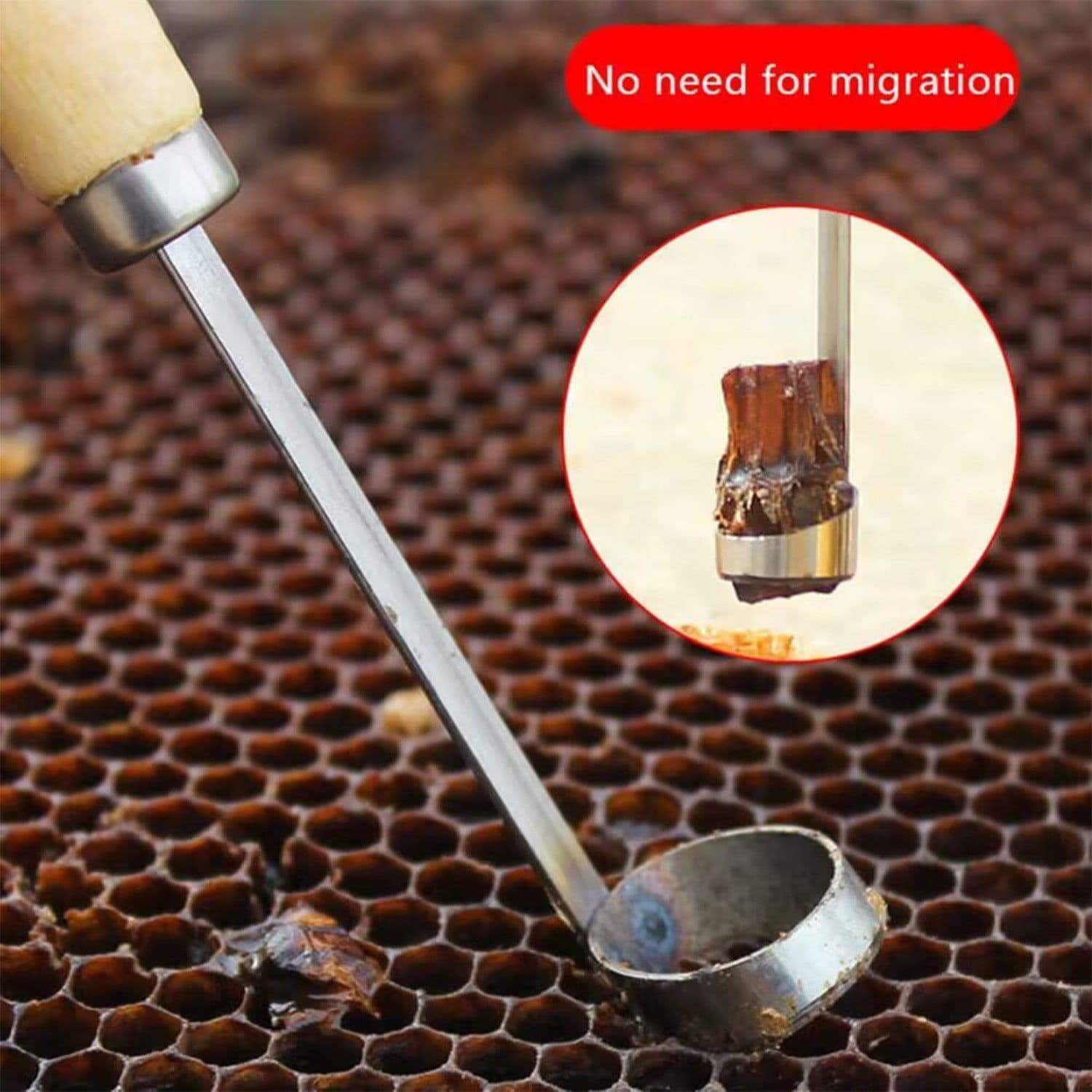 image-Artificial Insect Removal Cutting Honeycomb Knife Beekeeping Tools